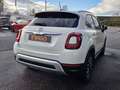 Fiat 500X 1.0 FIREFLY T T3 120 CONNECT EDITION 4X2 Weiß - thumbnail 3