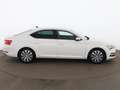 Skoda Superb 2.0 TDI Premium Edition Aut LED AHK RADAR Weiß - thumbnail 4