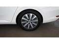 Skoda Superb 2.0 TDI Premium Edition Aut LED AHK RADAR Weiß - thumbnail 28