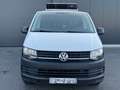 Volkswagen Transporter FRIGO / CLIM / TVA RECUPERABLE /FAIBLE KILOMETRAGE Wit - thumbnail 2