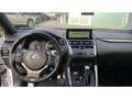 Lexus NX 300h F SPORT Line v05 Blanc - thumbnail 8