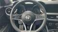 Alfa Romeo Stelvio 2.2 D TURBO 140KW MONZA EDITION AUTO 190 5P Roşu - thumbnail 14