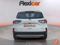 Ford Kuga 2.5 Duratec FHEV ST-Line 4x2 Aut. Blanco - thumbnail 5