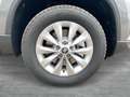 Skoda Karoq 4x4 Selection TDI DSG Grau - thumbnail 11
