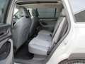 Skoda Kodiaq 4x4 Selection TDI DSG Grau - thumbnail 10