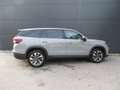 Skoda Kodiaq 4x4 Selection TDI DSG Grau - thumbnail 6
