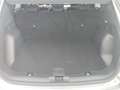 Ford Kuga 2,5 Duratec FHEV Titanium Aut. Silber - thumbnail 13
