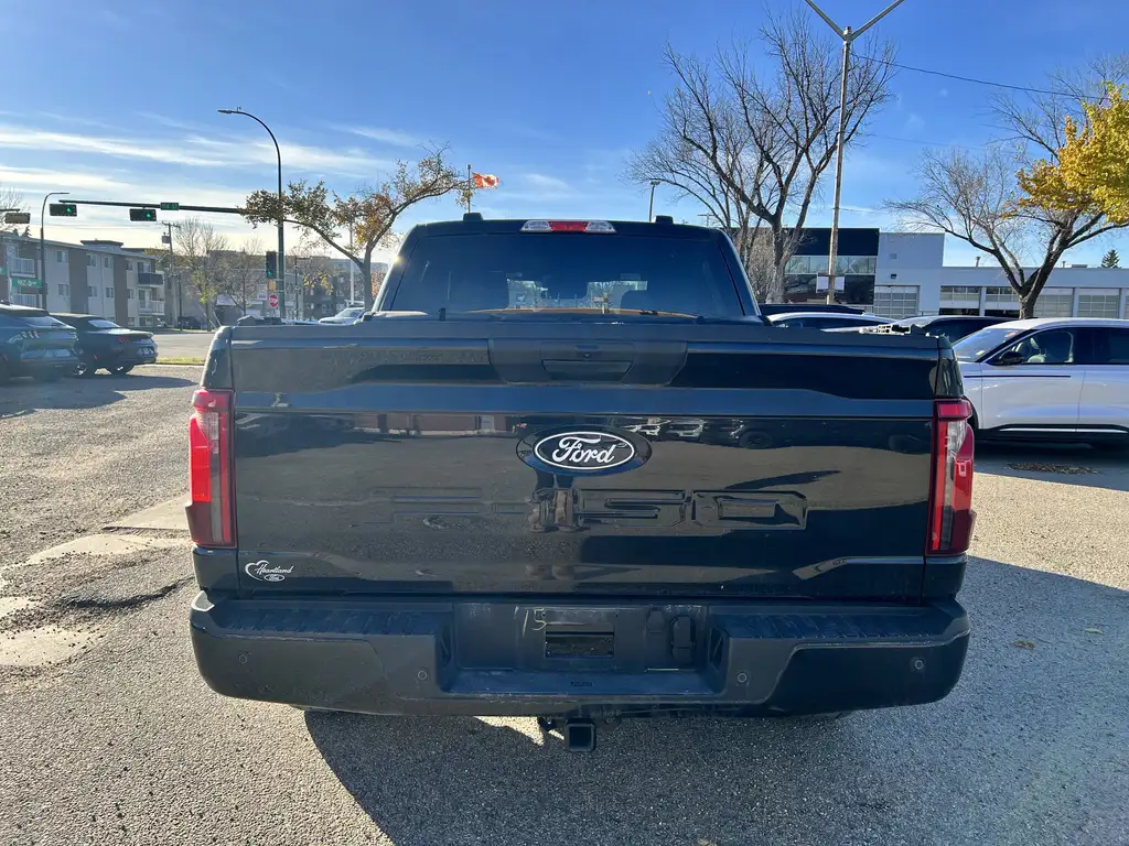 2025 Ford F-150 XLT SuperCrew 145 | 4X4 | Rear Cam | Rear Parking — photo 7