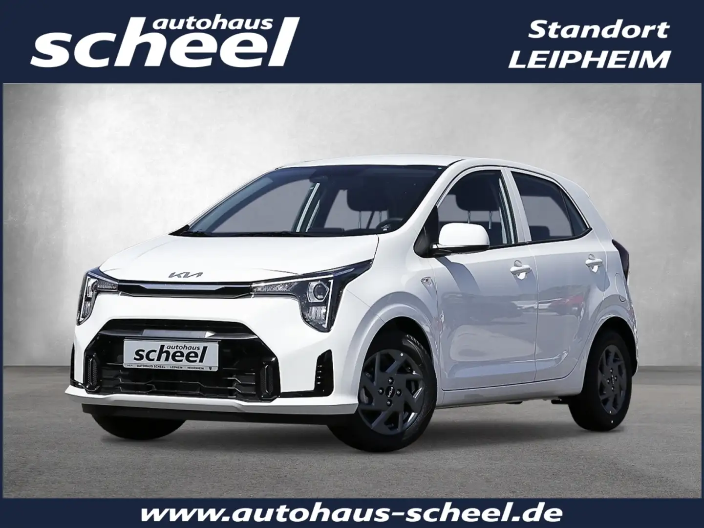 Kia Picanto 1.0 Vision SpurH LM KAM KlimaA Navi PDC Weiß - 1