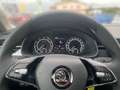 Skoda Scala 1.0 TSI Tour (NW) Gris - thumbnail 8