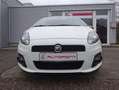 Abarth Grande Punto ABARTH PUNTO 16V Turbo NUR 56.000KM SAMMLER Weiß - thumbnail 2