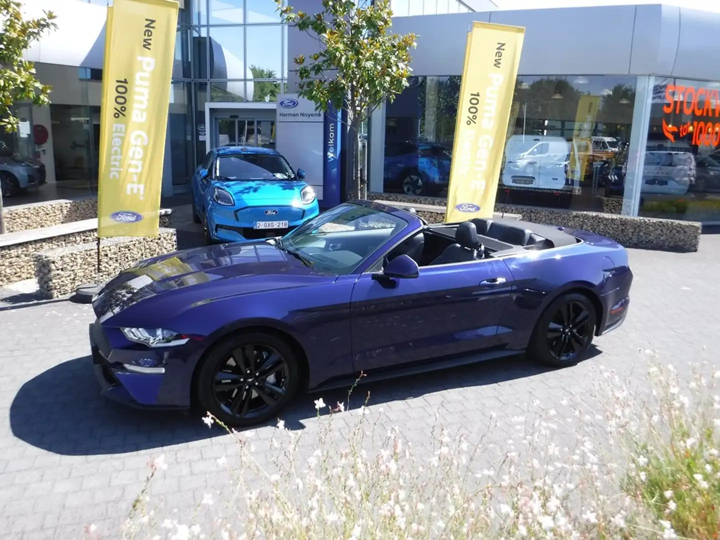 Ford Mustang EcoBoost AUT Bleu - 1
