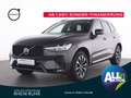 Volvo XC60 B4 Plus Dark+AHK+PANO+SHZ+LENKRADHZ+MEMRY+ Grau - thumbnail 1