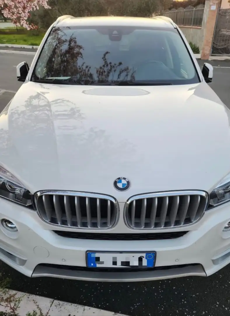 BMW X5 xdrive30d Luxury 258cv auto - 1