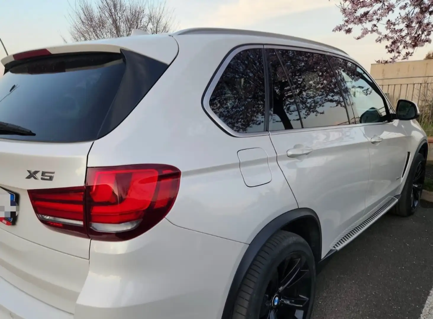BMW X5 xdrive30d Luxury 258cv auto - 2