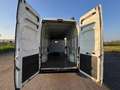 Citroen Jumper 35 DUCATOMAXI cv130 PASSO LUNGO TETTO ALTO Bianco - thumbnail 7