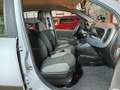 Fiat Panda Hybrid 1.0 Gse 51kw (70CV) Azul - thumbnail 13