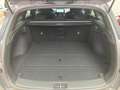Hyundai i30 Kombi 1.5 T-GDI 7-DCT N-Line Pano 2xKlima Grau - thumbnail 12