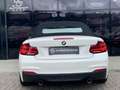 BMW M2 Cabrio M240 i xDrive Leder/Automatik/CAM/NAVI Weiß - thumbnail 6