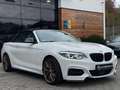 BMW M2 Cabrio M240 i xDrive Leder/Automatik/CAM/NAVI Weiß - thumbnail 4