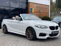 BMW M2 Cabrio M240 i xDrive Leder/Automatik/CAM/NAVI Weiß - thumbnail 8