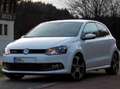 Volkswagen Polo 1.2 TEAM; GTI-Optik; Unfallfrei; 2. Hand Blanco - thumbnail 11