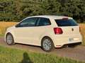 Volkswagen Polo 1.2 TEAM; GTI-Optik; Unfallfrei; 2. Hand Blanco - thumbnail 10