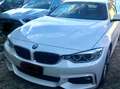 BMW 430 430dA Cabrio Msport Bianco - thumbnail 4