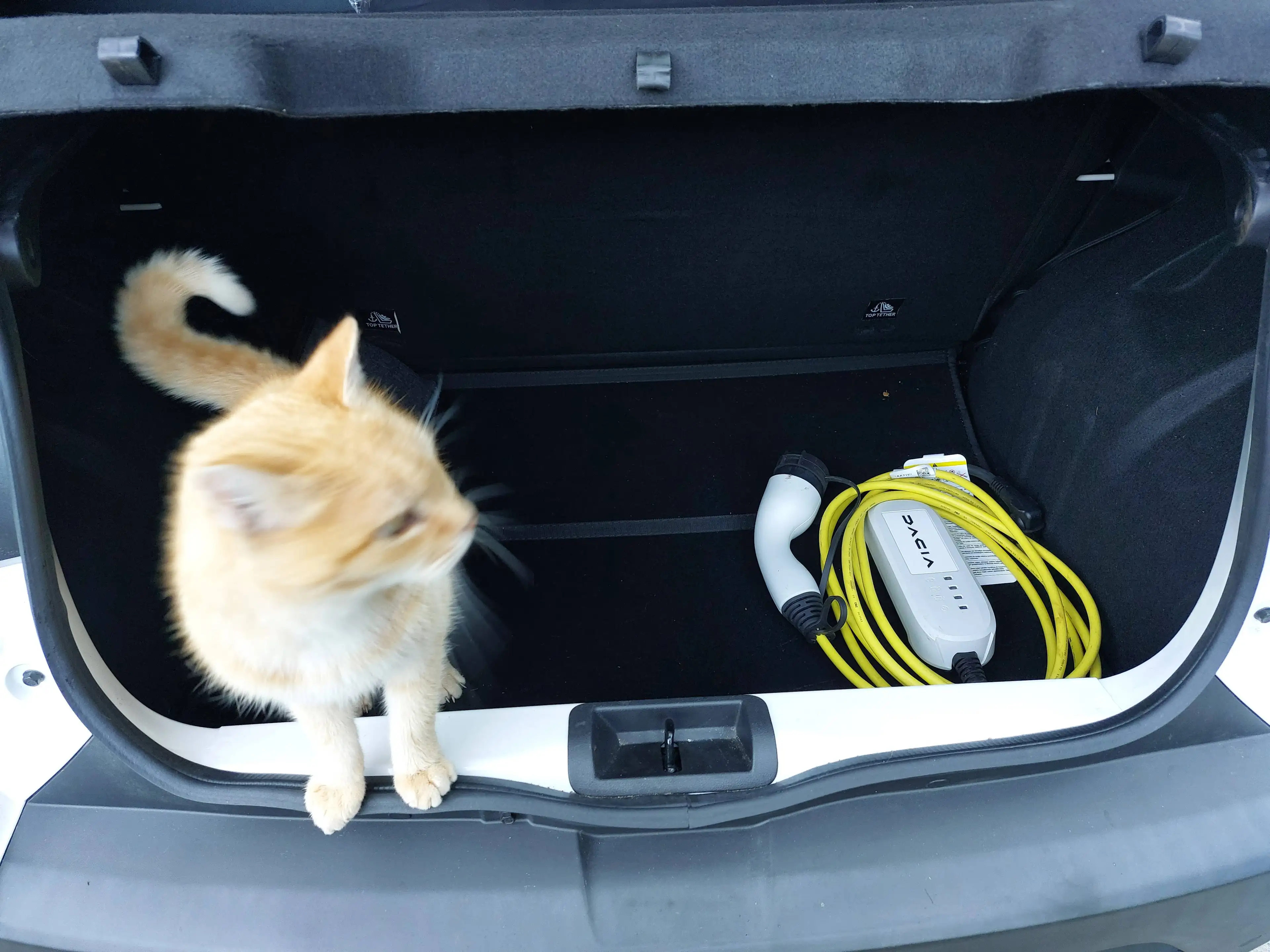 Dacia Spring Electric 45 ESSENTIAL CCS Servo Klima ZV DAB+ Blueth. — photo 12