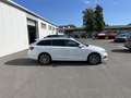 Skoda Octavia Combi 1.4 TSI e-Hybrid Style First Edition 110€ Weiß - thumbnail 4