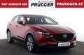 Mazda CX-30 G122 Comfort+ LED NAVI 18 ZOLL HUD ACC KAMERA Rot - thumbnail 4