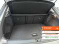 Volkswagen T-Roc T-Roc 1.0 TSI Edition Plus Beige - thumbnail 11