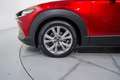 Mazda CX-30 2.0 Skyactiv-G Evolution 2WD 90kW Blanco - thumbnail 11