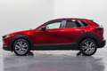 Mazda CX-30 2.0 Skyactiv-G Evolution 2WD 90kW Blanco - thumbnail 8