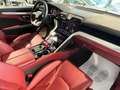 Lamborghini Urus 4.0 V8 auto-CARBONCERAMICA-MATRIX-TETTO-BeO 3D! Gris - thumbnail 16