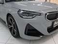 BMW 220 i Coupé M Sportpaket HiFi DAB LED Tempomat Grau - thumbnail 10