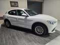 Alfa Romeo Stelvio Stelvio 2020 2.2 t Business Q4 190cv auto Bianco - thumbnail 3