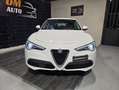 Alfa Romeo Stelvio Stelvio 2020 2.2 t Business Q4 190cv auto Bianco - thumbnail 2