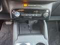 Ford Kuga ST-Line Winterpaket, LED, Navi, Kamera, PDC, Sync4 Schwarz - thumbnail 12