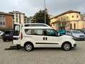 Fiat Doblo 1.6 MJT 16V 120CV XL   ***TRASPORTO DISABILI Bianco - thumbnail 14