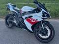Yamaha YZF-R1 RN19 Bianco - thumbnail 1