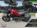 Benelli Leoncino Rojo - thumbnail 1