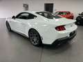 Ford Mustang 5.0 Ti-VCT V8 GT DEUTSCH/ COC/4 Jahre Garant. Weiß - thumbnail 7