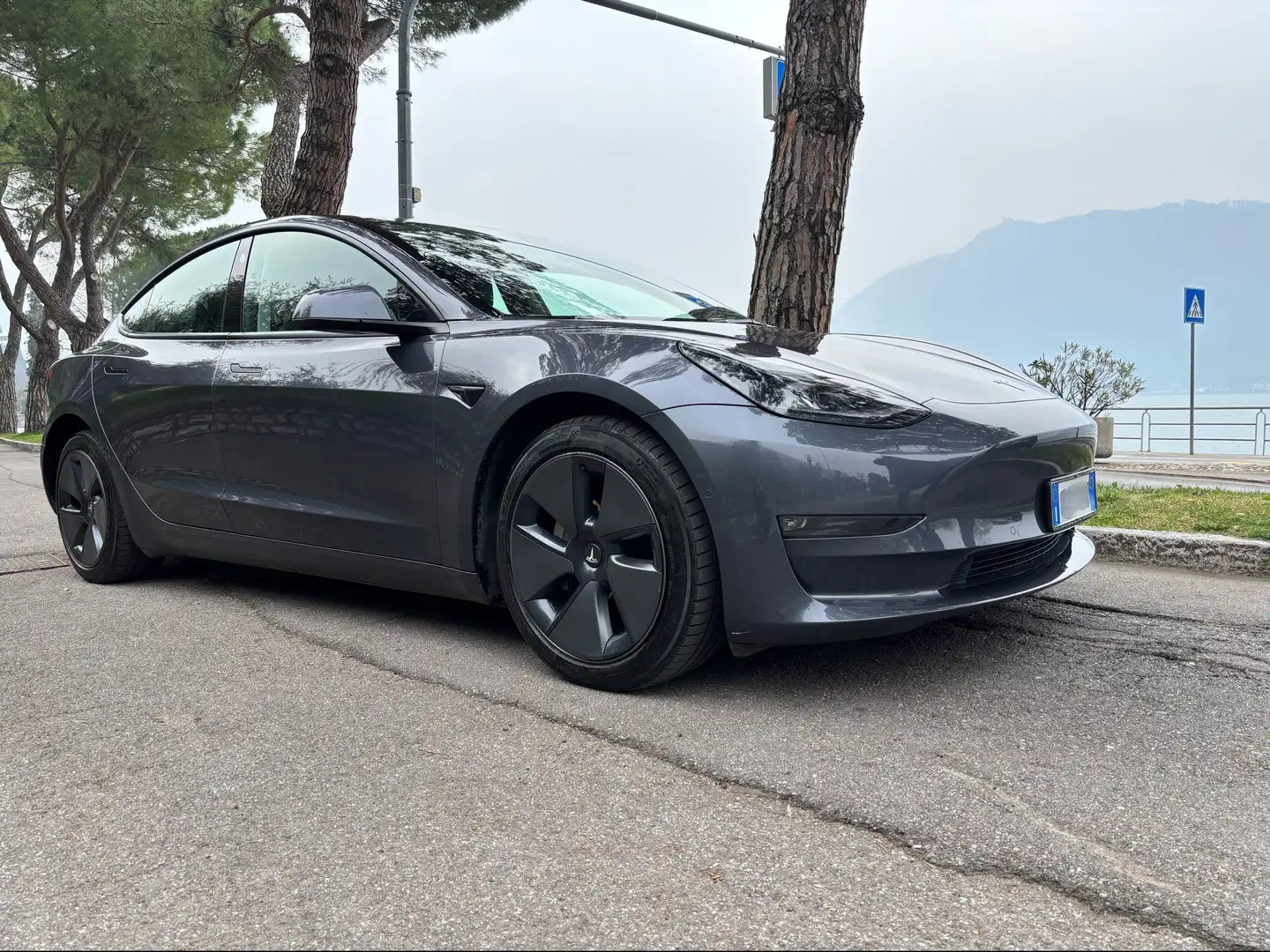 Tesla Model 3 Model 3 Long Range Dual Motor awd Grigio - 1