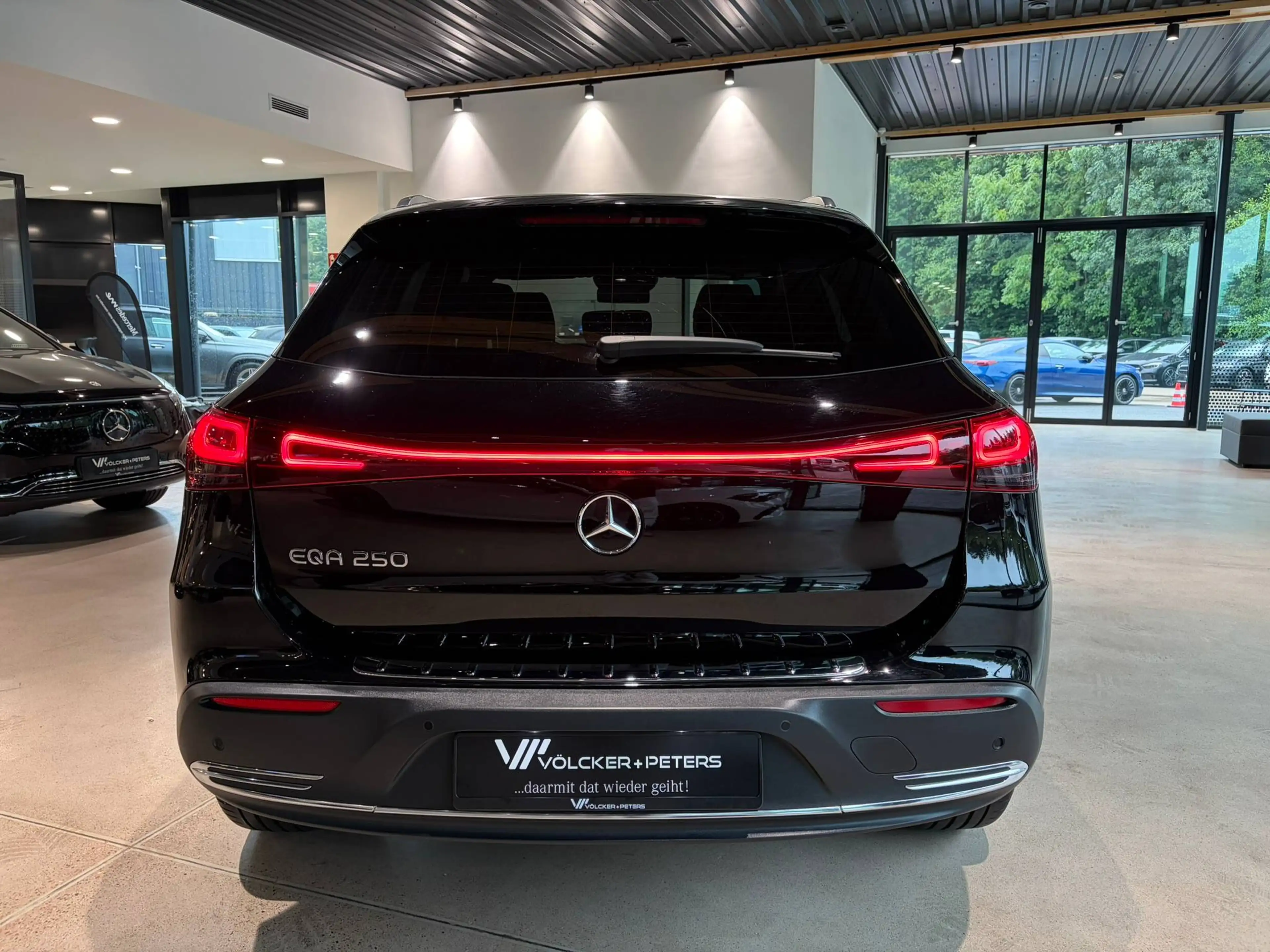 Mercedes-Benz EQA 250 EQA 250 /AHK/360/DISTRO/FAP/LENKRADHEIZUNG/CARPL — photo 6