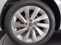 Skoda Octavia wagon 2.0 tdi executive 115cv Bianco - thumbnail 14