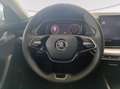 Skoda Octavia wagon 2.0 tdi executive 115cv Bianco - thumbnail 7