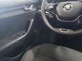 Skoda Octavia wagon 2.0 tdi executive 115cv Bianco - thumbnail 18