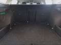 Skoda Octavia wagon 2.0 tdi executive 115cv Bianco - thumbnail 11