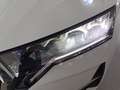Skoda Octavia wagon 2.0 tdi executive 115cv Bianco - thumbnail 12